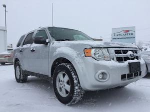  Ford Escape XLT FWD