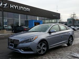  Hyundai Sonata Hybrid Limited w/Colour Pack