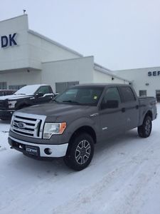  Ford F-150 XLT Ecoboost, Sync, w/ Low KM's!