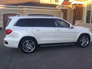  Mercedes-Benz GL550 in Exceptional Condition