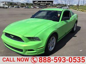  Ford Mustang PREMIUM COUPE Accident Free,