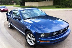  Blue Ford Mustang | Shelby GT Trim & Scoops Pony