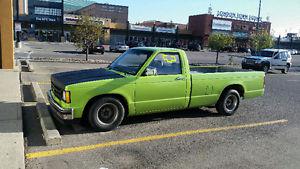  Chevrolet S-10 Pickup Truck