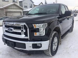 Ford F-150 XLT 4X4 | ONE owner | Accident FREE | LOW KM