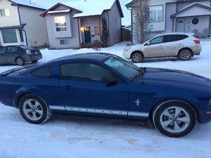 Mustang for sale!