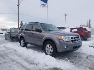  Ford Escape XLT. *EXTREMELY LOW MILEAGE *