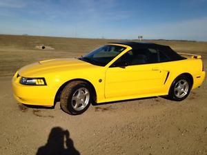  Ford Mustang Convertible