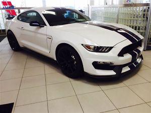  Ford Mustang Shelby -