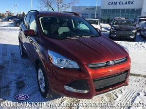  Ford Escape SE All Wheel Drive Cloth Seats One Owner