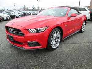  Ford Mustang 50TH ANNIVERSARY EDITION
