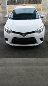  Toyota Corolla LE ECO Bck Up Cam,Heated