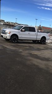 F150 PLATINUM