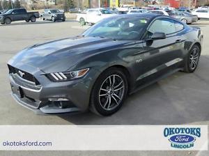  Ford Mustang GT Premium GT Coupe Premium, 5.0l 4v