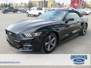  Ford Mustang V6 Convertible with low kms, clean