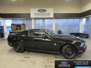  Ford Mustang V6 - Heated Seats - Sync Package - $