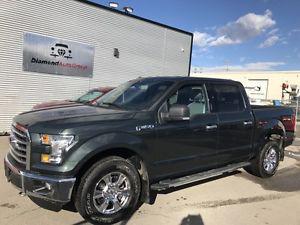  Ford F-150 XLT Back-Up Camera