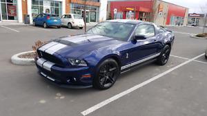  Mustang Shelby GT500