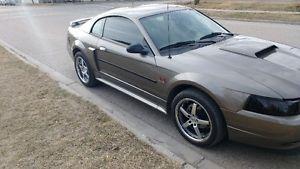  Ford Mustang GT Coupe (2 door)