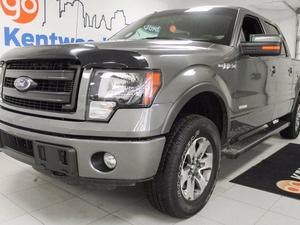  Ford F-150 V6 Ecoboost FX4. Beauty as true as can be