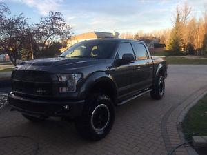  Ford F-150 SuperCrew SHELBY #47 OF 500 WORLDWIDE