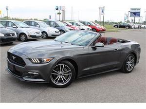 Ford Mustang CONVERTIBLE/éCOBOOST