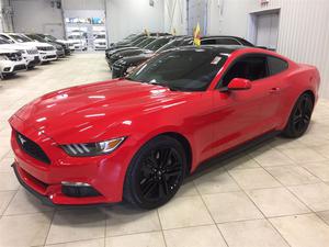  Ford Mustang ECOBOOST ENSEMBLE