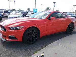  Ford Mustang in Medicine Hat, Alberta, $