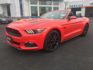  Ford Mustang GT CONVERTIBLE
