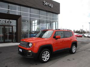  Jeep Renegade NORTH MAGS 18 POUCES