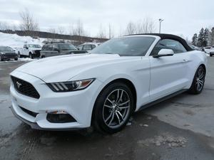  Ford Mustang ECOBOOST HAUT NIVEAU CABRIOLET 2 PORTES