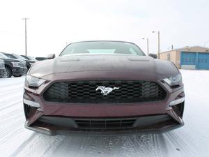  Ford Mustang in Edmonton, Alberta, $