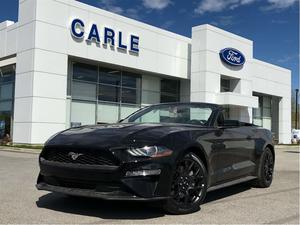  Ford Mustang ECOBOOST