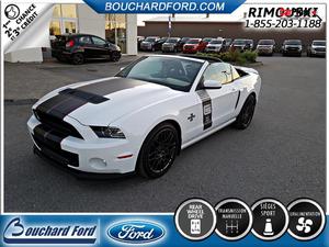  Ford Mustang SHELBY GT/SEM