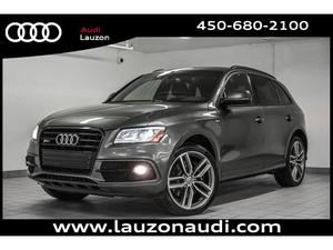  Audi SQ5 3.0T TECHNIK CARBON
