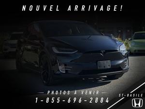  Tesla Model X PORTES FAUCONS