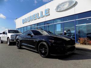  Ford Mustang GT PERFORMANCE PACK BREMBO RECARO