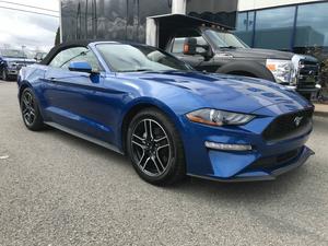  Ford Mustang ECOBOOST CONVERTIBLE GROUPE 101A AUTOMAT