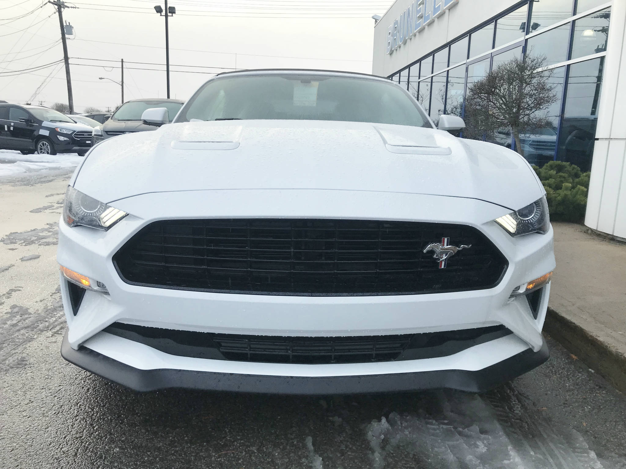  Ford Mustang GT HAUT NIVEAU CONVERTIBLE CALIFORNIA