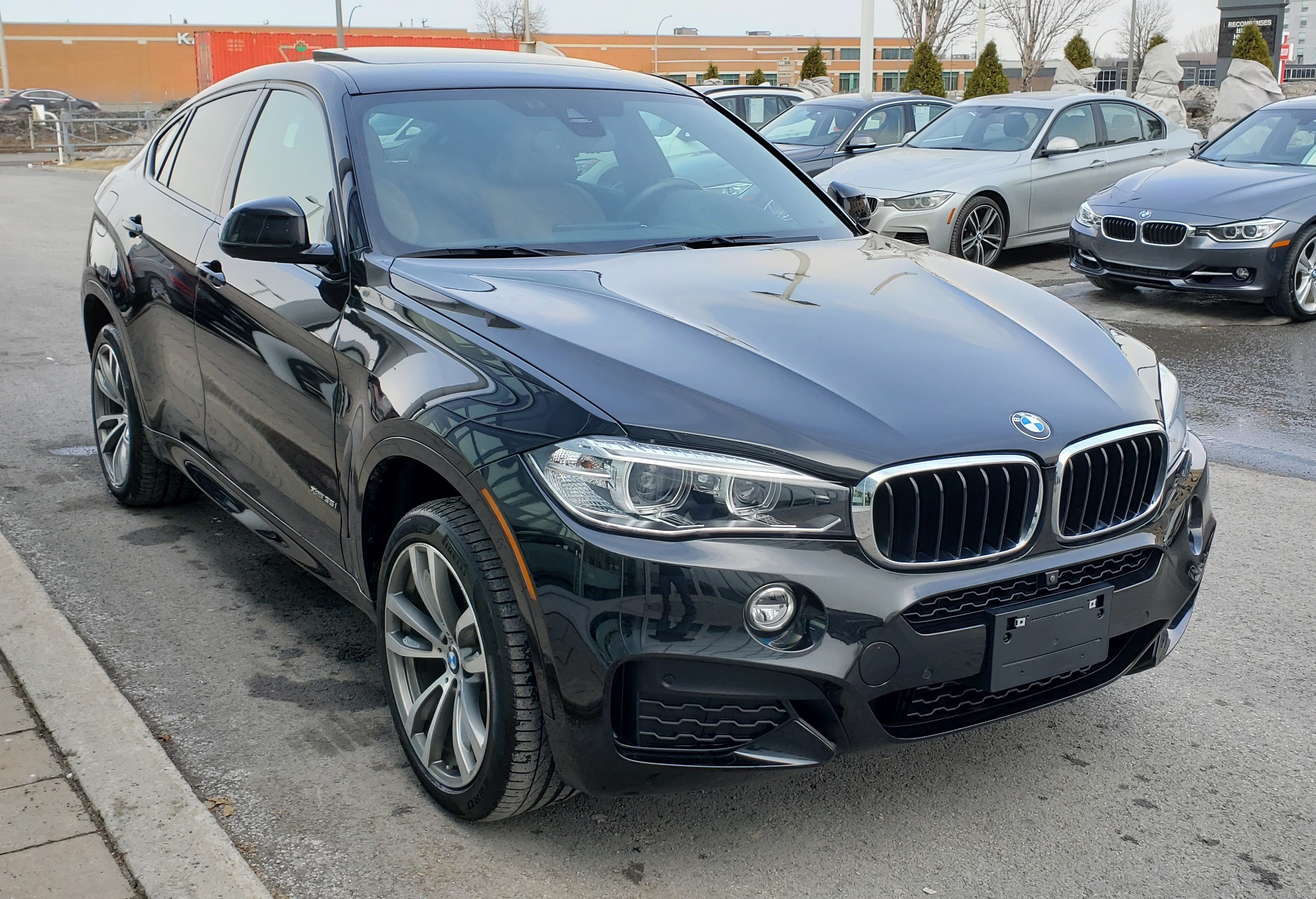  BMW X6 XDRIVE35I THE PRETTY