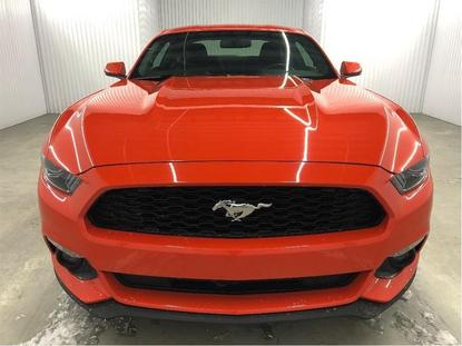  Ford Mustang ECOBOOST 310HP