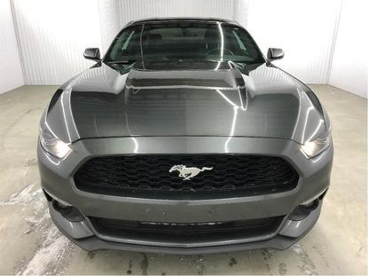  Ford Mustang ECOBOOST 310HP MAGS