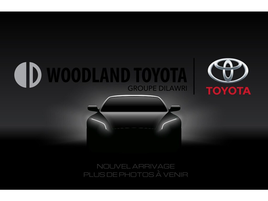  Toyota Sienna LTD / AWD / GPS