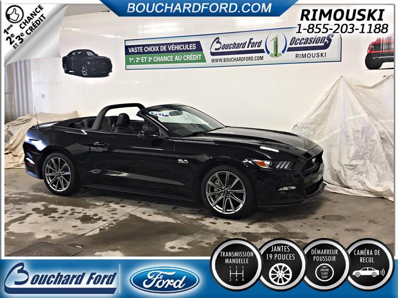  Ford Mustang 6V ARCEAU