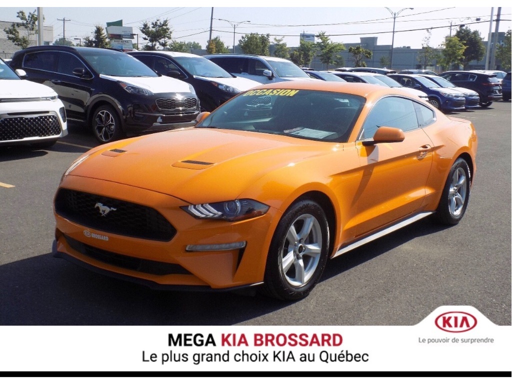  Ford Mustang ECOBOOST FASTBACK