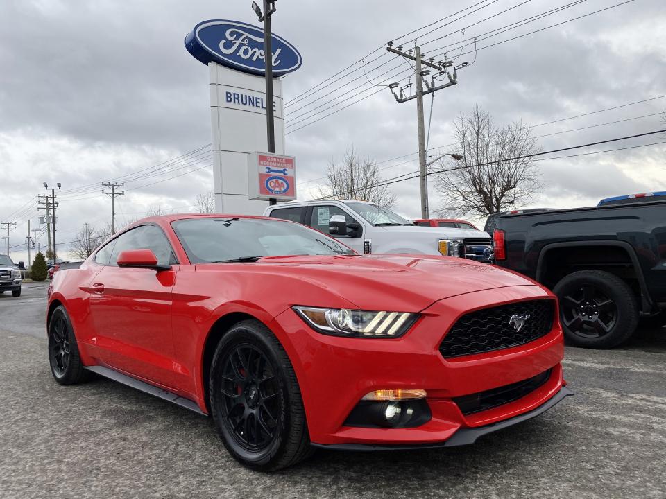  Ford Mustang 3,7L | AUTO | 305HP
