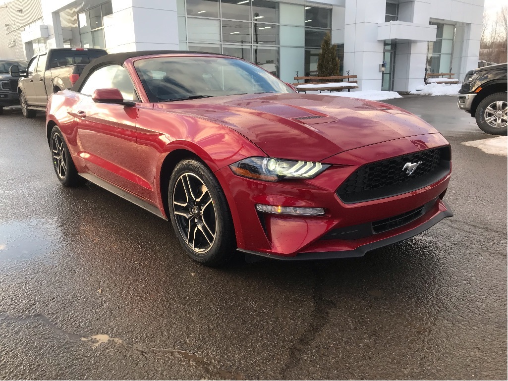  Ford Mustang CONV/101A/I4 2.3L ECOBOOST